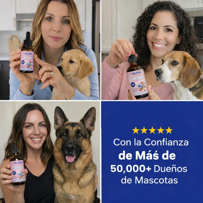 Colágeno Triple para Perros y Gatos