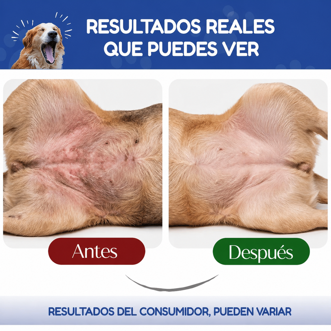 Colágeno Triple para Perros y Gatos