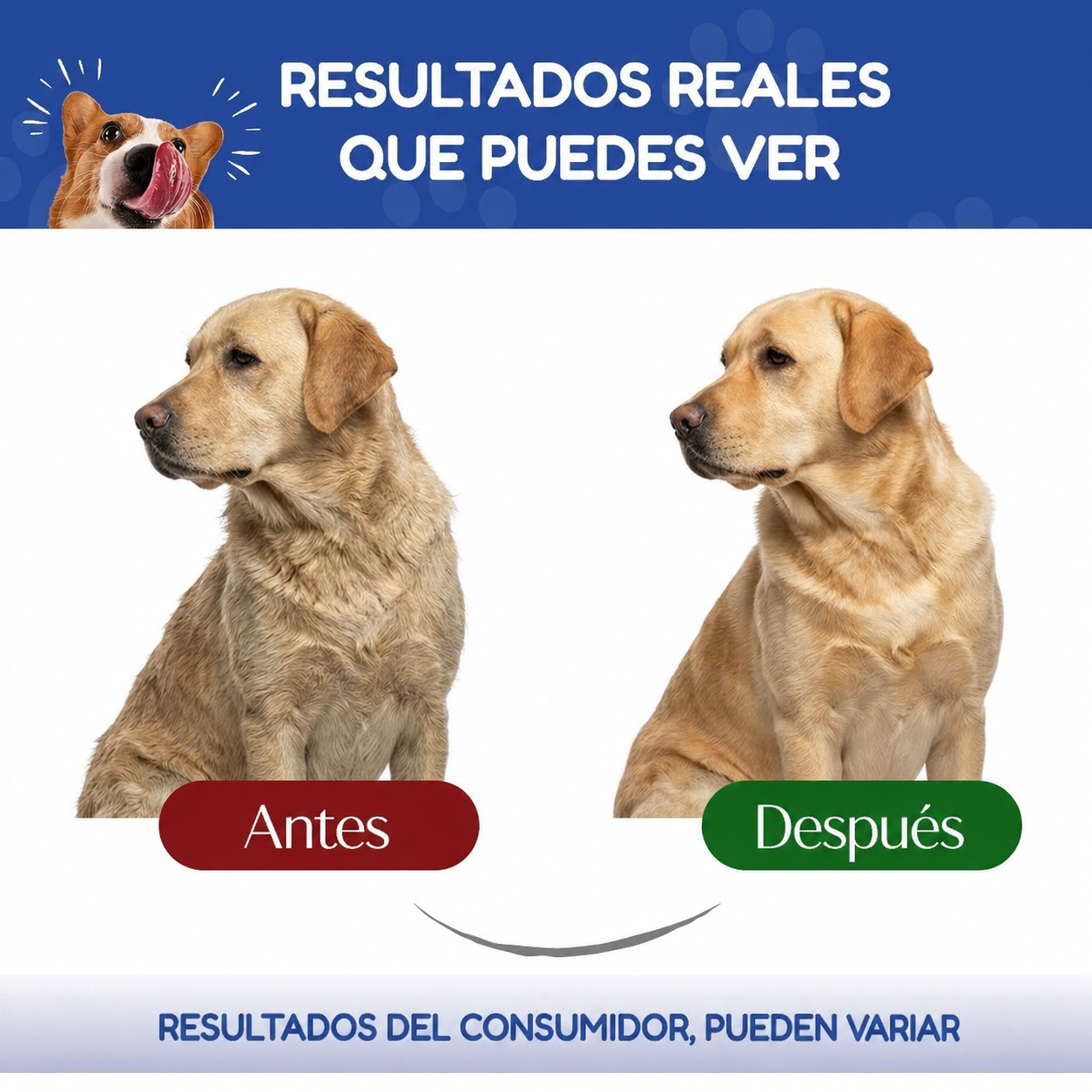 Colágeno Triple para Perros y Gatos