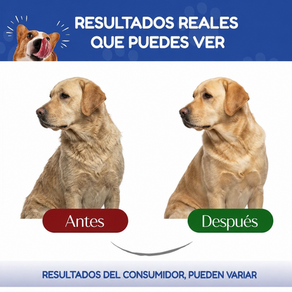 Colágeno Triple para Perros y Gatos