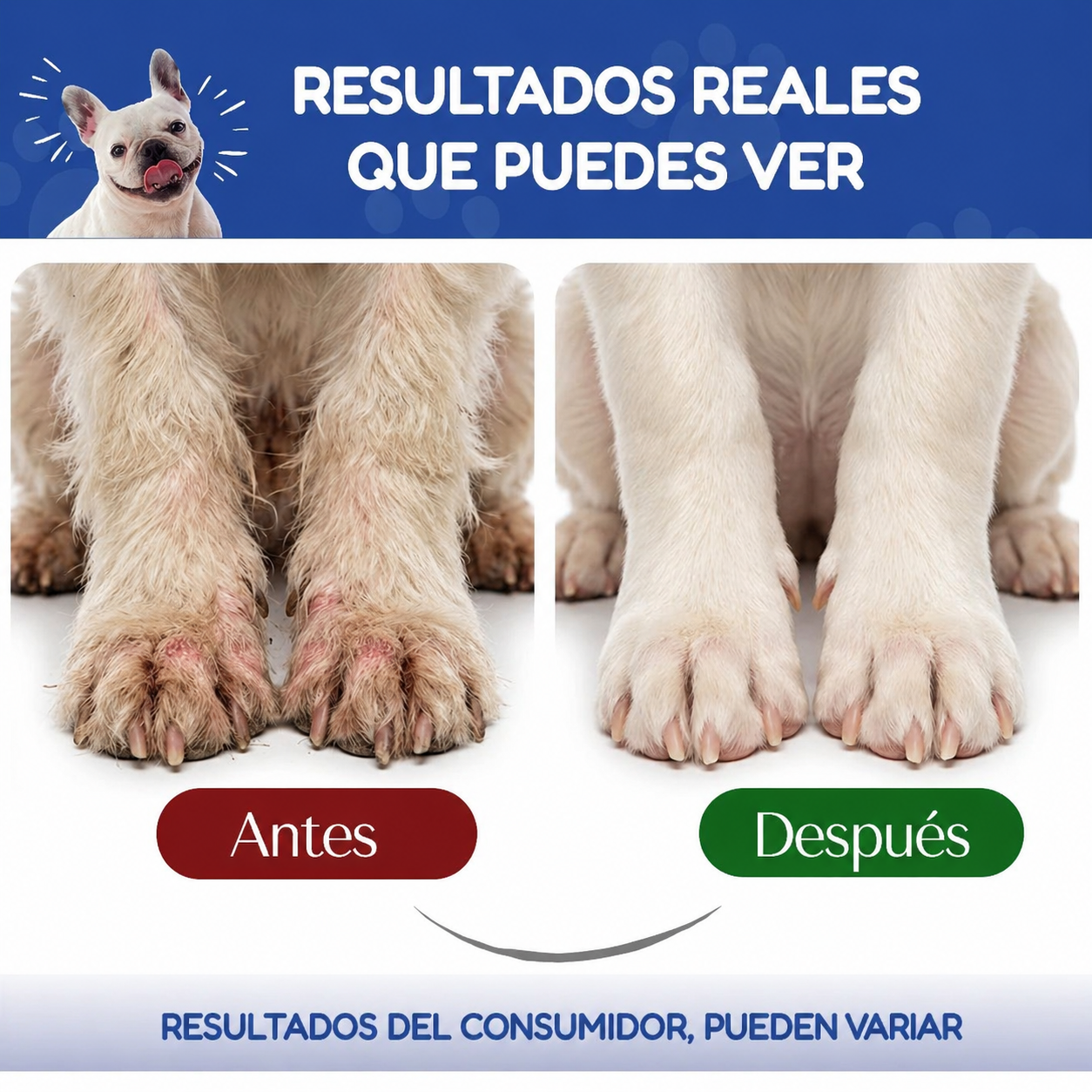 Colágeno Triple para Perros y Gatos