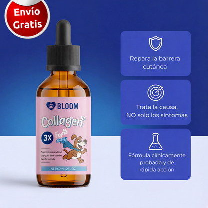Colágeno Triple para Perros y Gatos